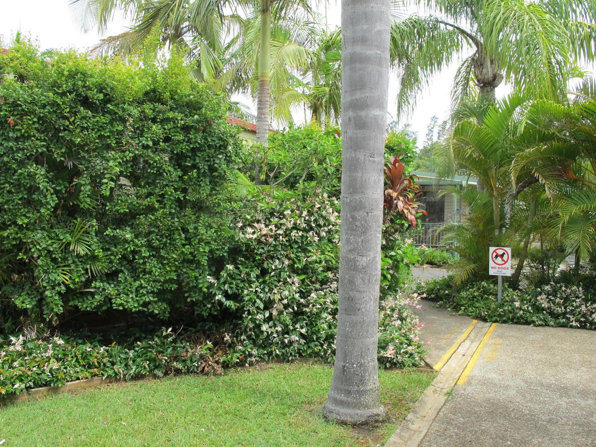 Melaleuca Caravan Park Port Macquarie Eksteriør bilde